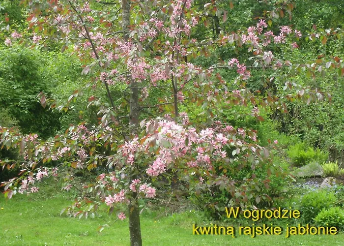 Accommodatie bij particulieren W Willi Busola *